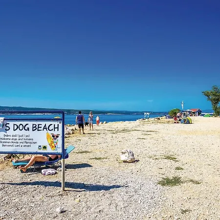 Beautiful In Apartament